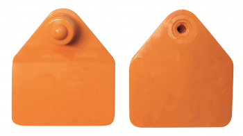 Zeugenmerk M9 blanko